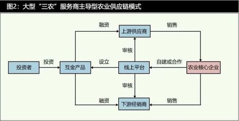 數字科技時代的農業供應鏈金融發展特征與模式分析